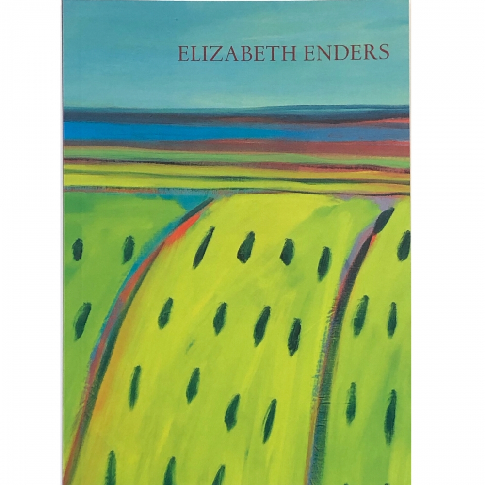 Elizabeth Enders Elsewhere Catalog cover showing vivid colored landscape.