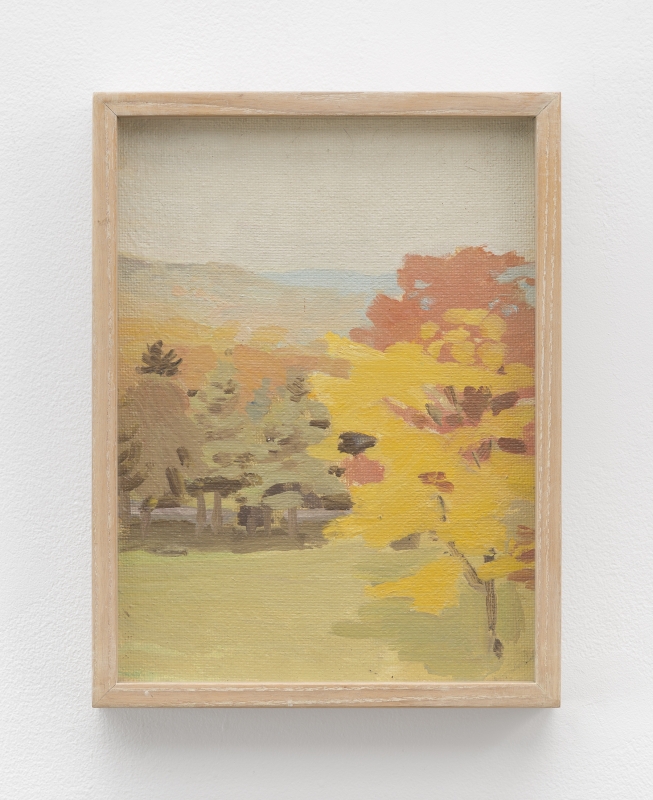 Image of Untitled [View of Pelham hills with tree from Fayerweather Hall 