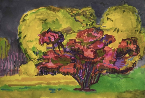 Red Tree in Front of Yellow, 2020, Watercolor on paper